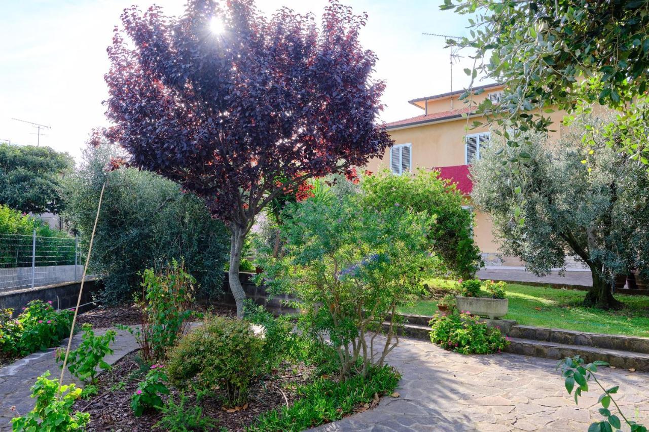 Olioealloro B&B San Vincenzo Exterior photo
