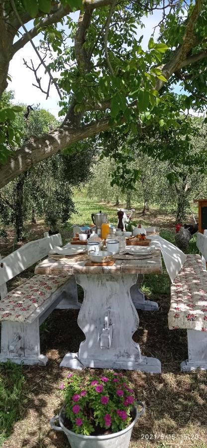 Olioealloro B&B San Vincenzo Exterior photo